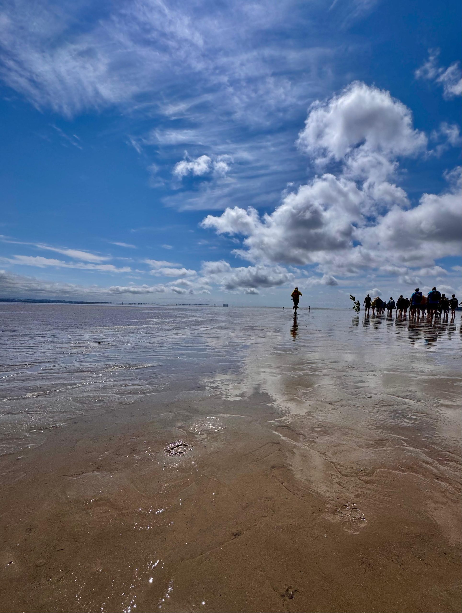 Why Regeneration Matters Now