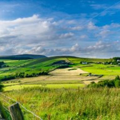 Welcome to The Spark